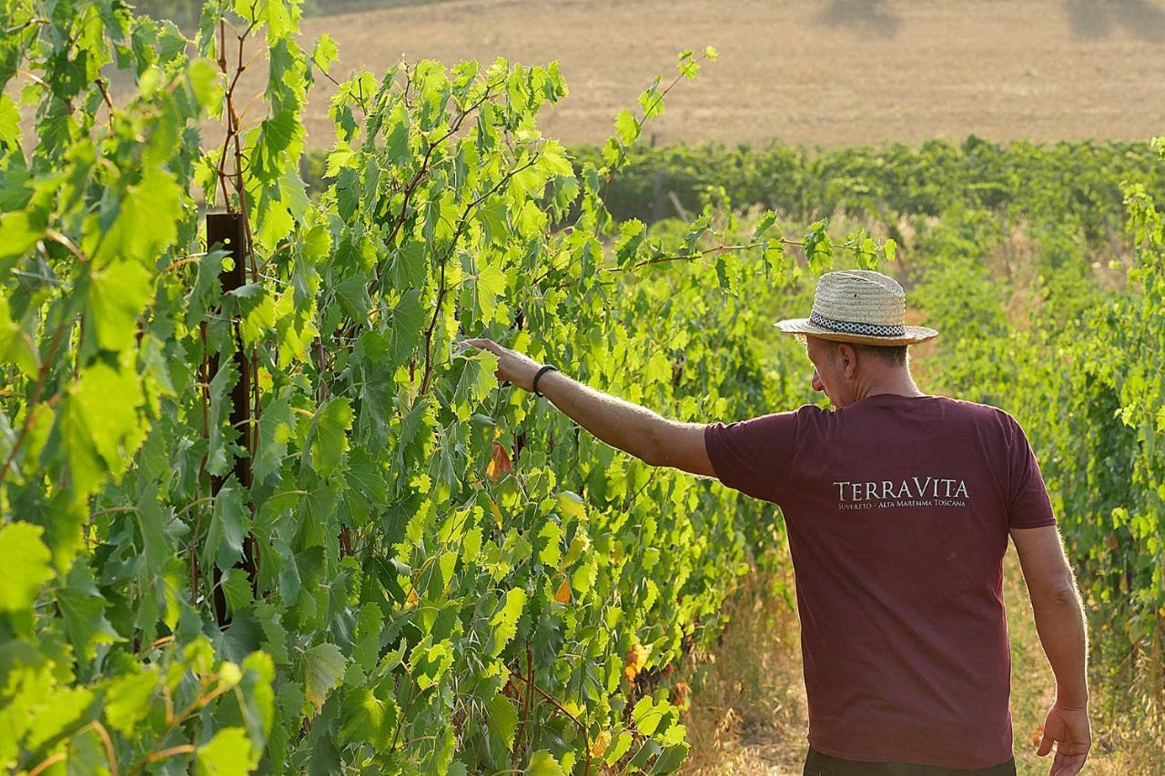 Terravita Winery & Boutique Apartments Суверето Екстериор снимка